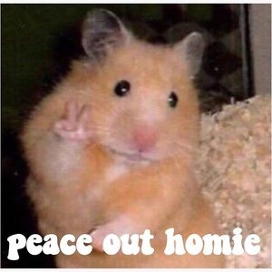 Meet your Posher, Isabella